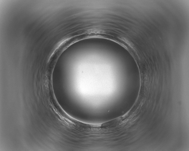 X0000054371115200508051548