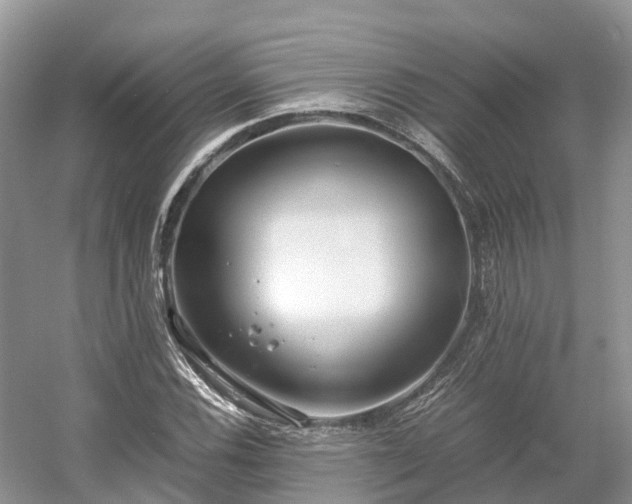 X0000054371116200508051548