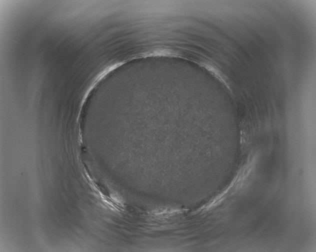 X0000054371117200508051548