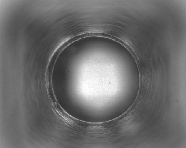 X0000054371119200508051548