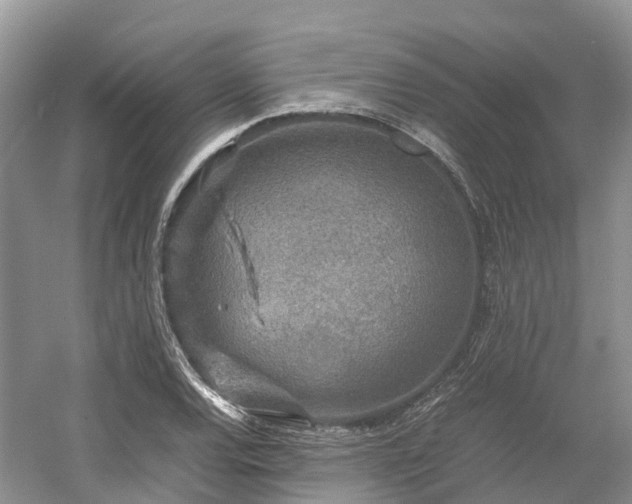 X0000054371120200508051548