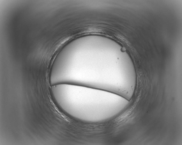 X0000054371121200508051548