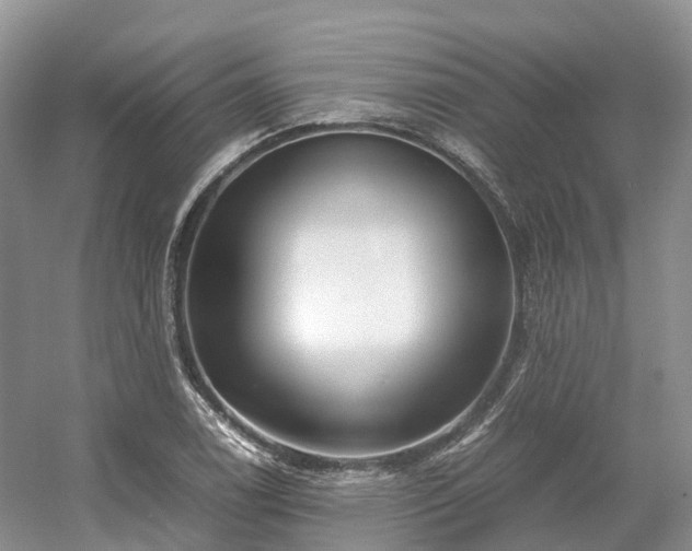 X0000054371122200508051548