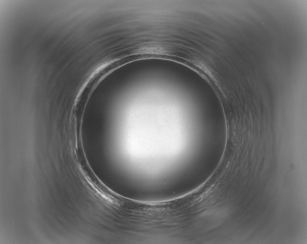 X0000054371123200508051548