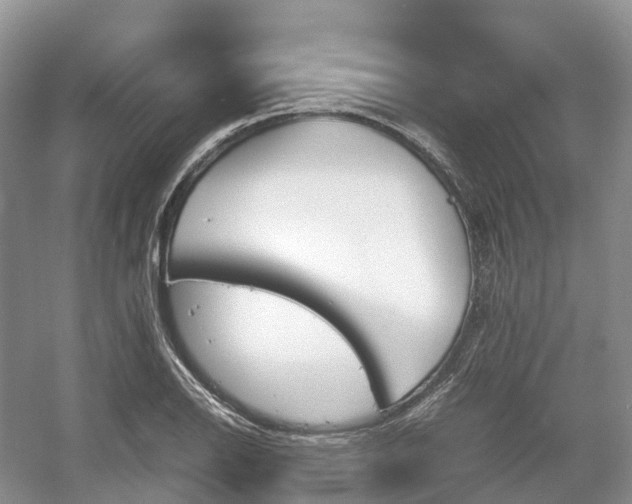 X0000054371126200508051548