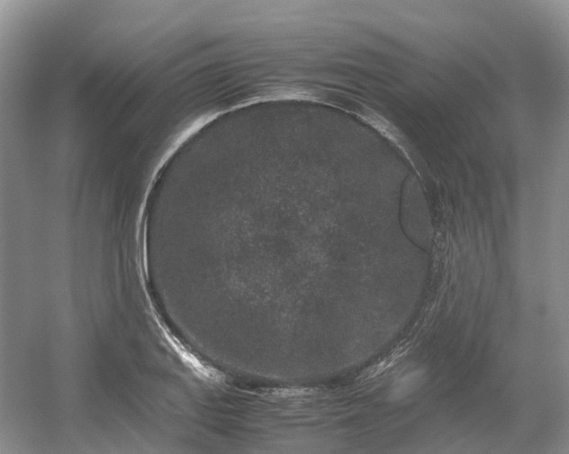 X0000054371127200508051548