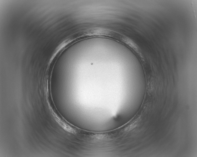 X0000054371130200508051548