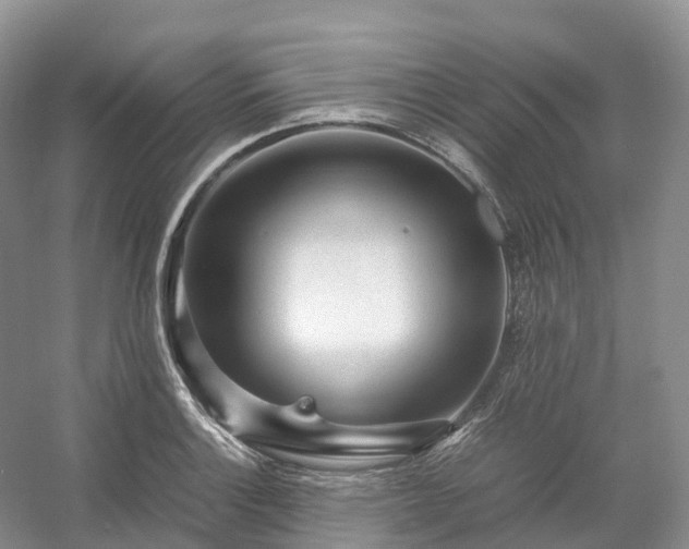 X0000054371132200508051548