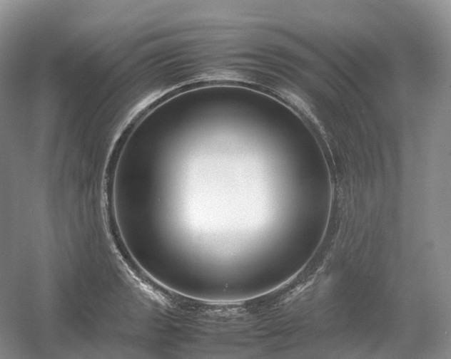 X0000054371133200508051548