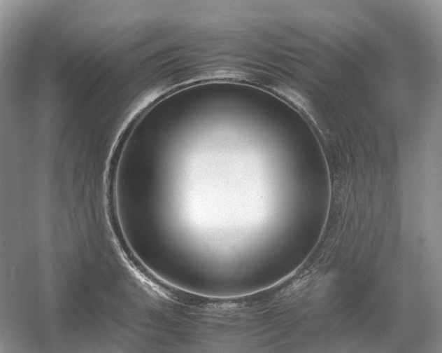 X0000054371135200508051548