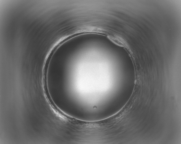 X0000054371136200508051548