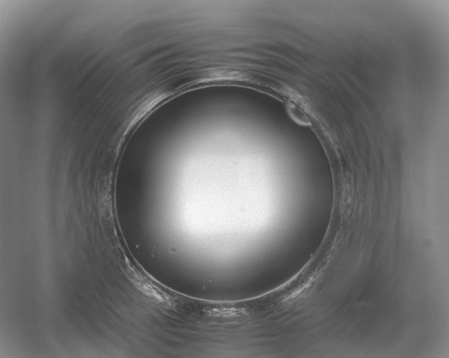 X0000054371137200508051548