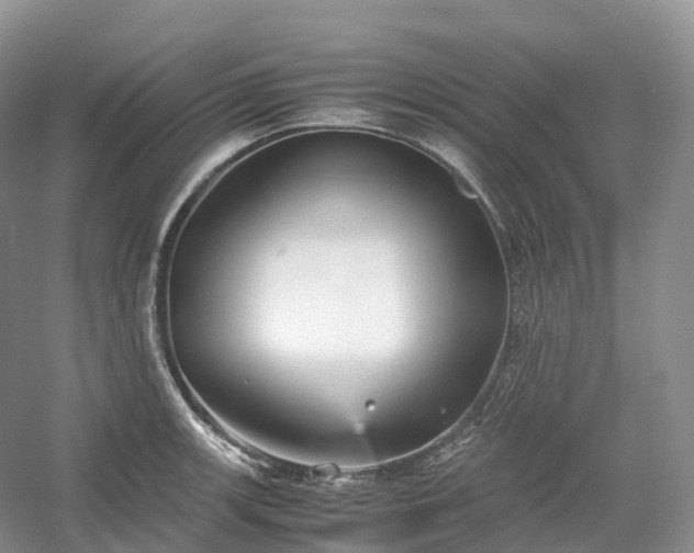 X0000054371139200508051548