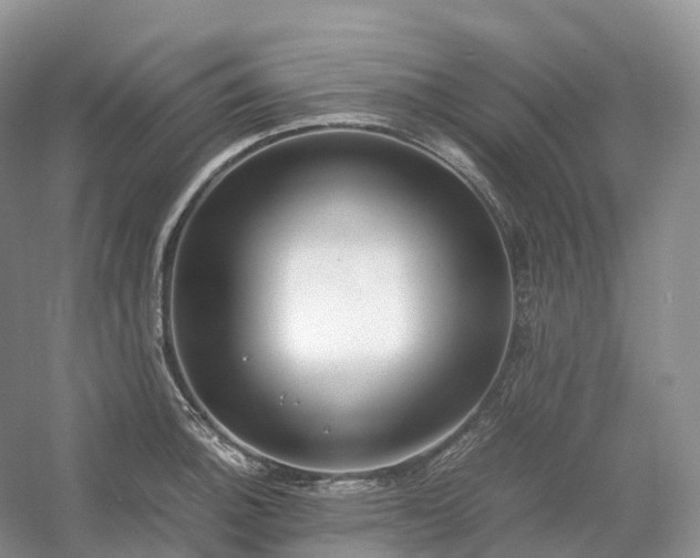 X0000054371140200508051548