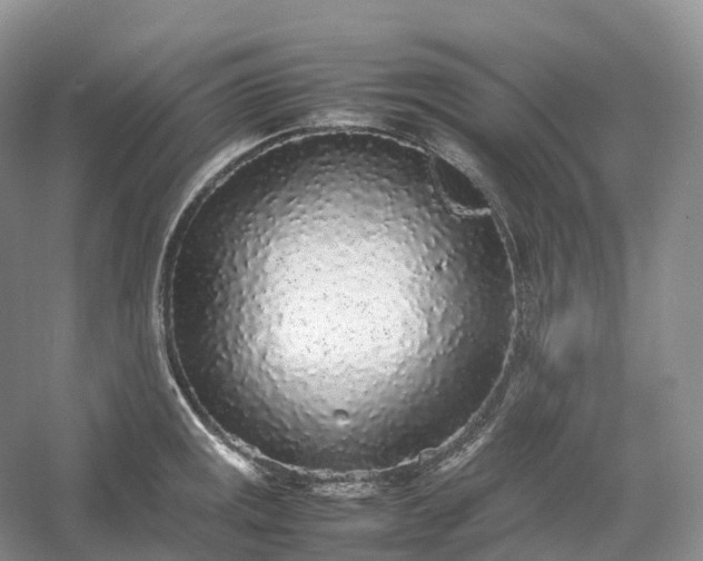 X0000054371141200508051548