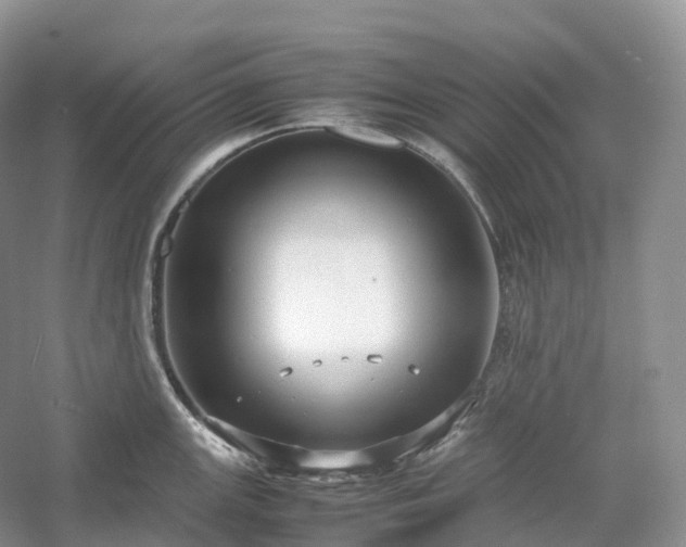 X0000054371147200508051548