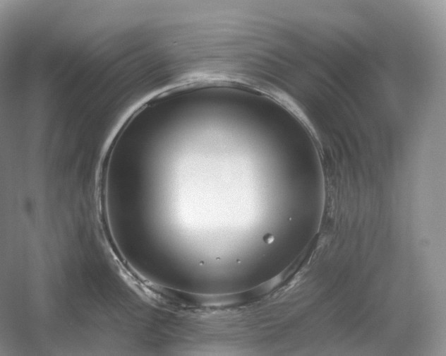 X0000054371148200508051548