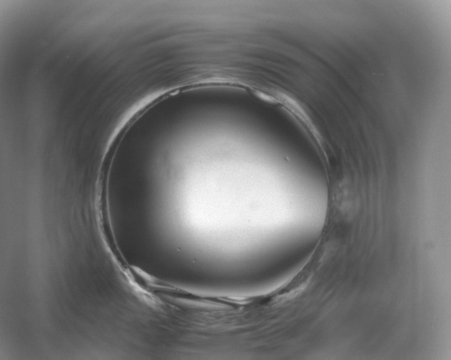 X0000054371149200508051548