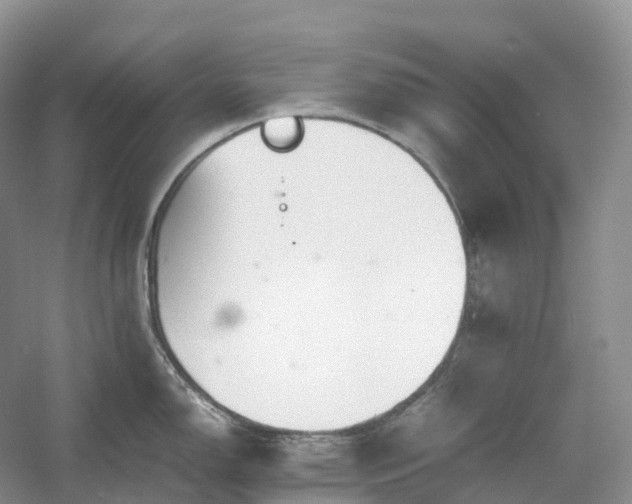 X0000054371150200508051548