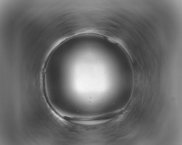 X0000054371151200508051548