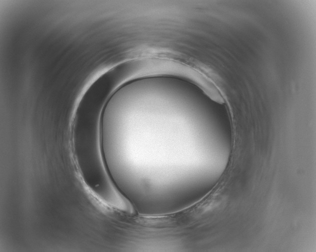 X0000054371152200508051548