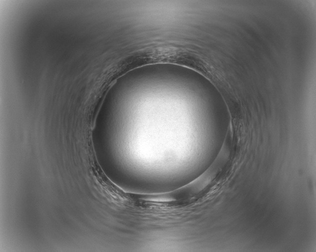 X0000054371153200508051548