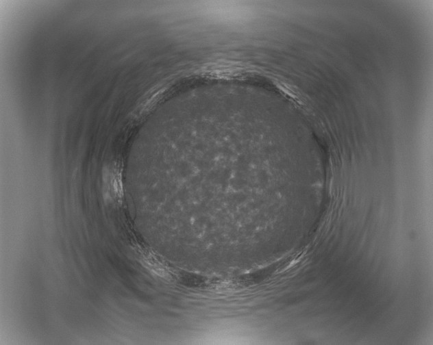 X0000054371155200508051548