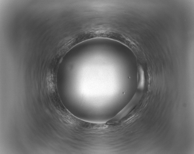 X0000054371156200508051548