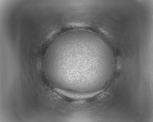 X0000054371157200508051547