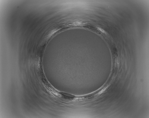 X0000054371161200508051547