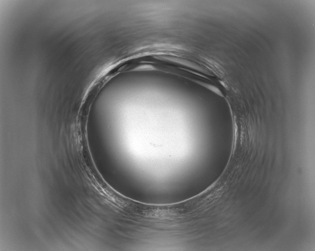 X0000054371164200508051547