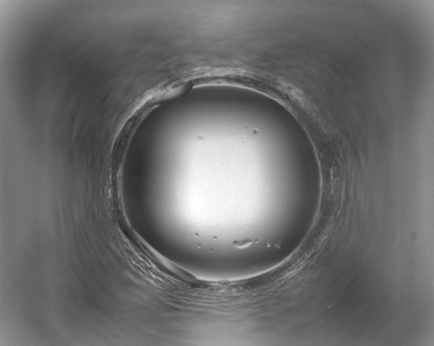 X0000054371165200508051547