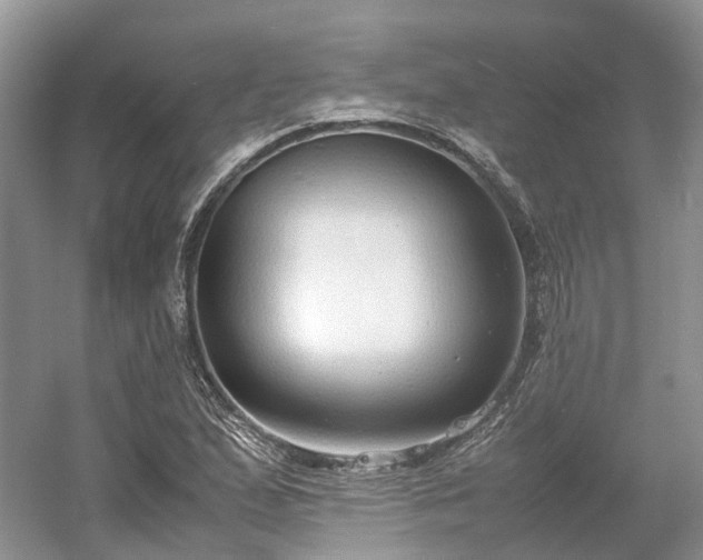 X0000054371167200508051547