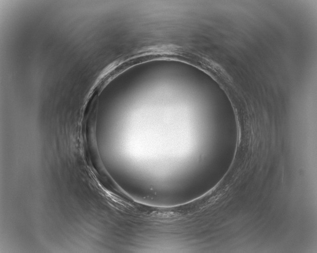 X0000054371168200508051547