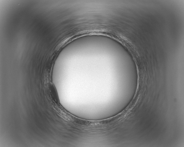 X0000054371169200508051547