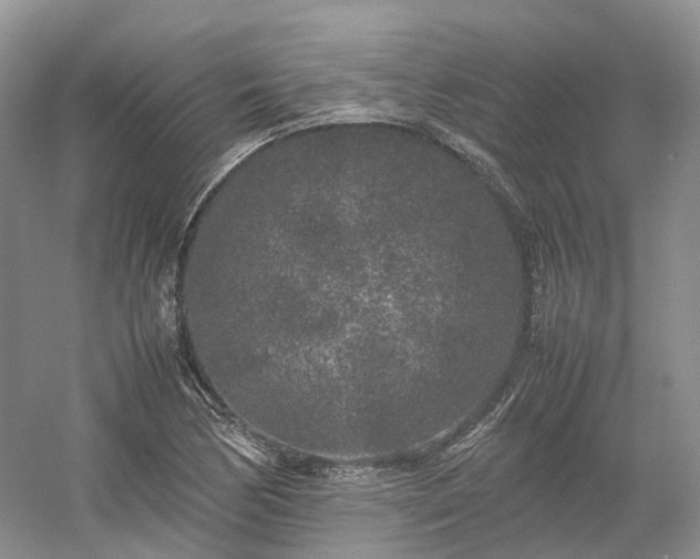 X0000054371170200508051547