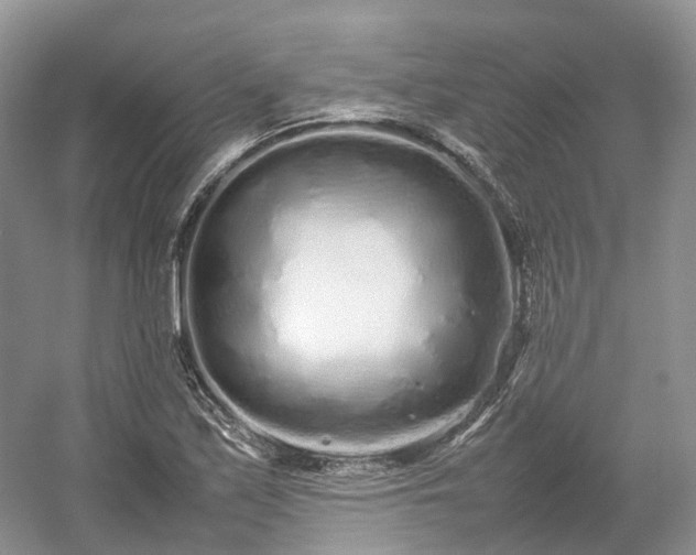 X0000054371171200508051547