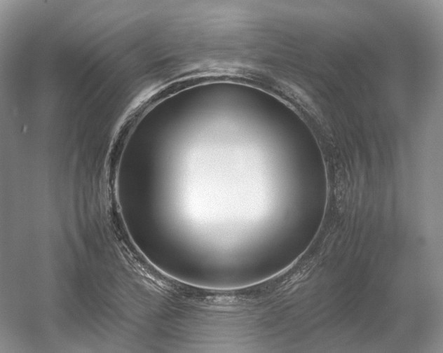 X0000054371172200508051547