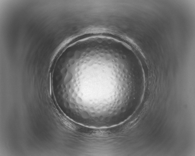 X0000054371175200508051547