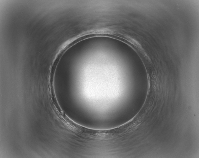 X0000054371176200508051547