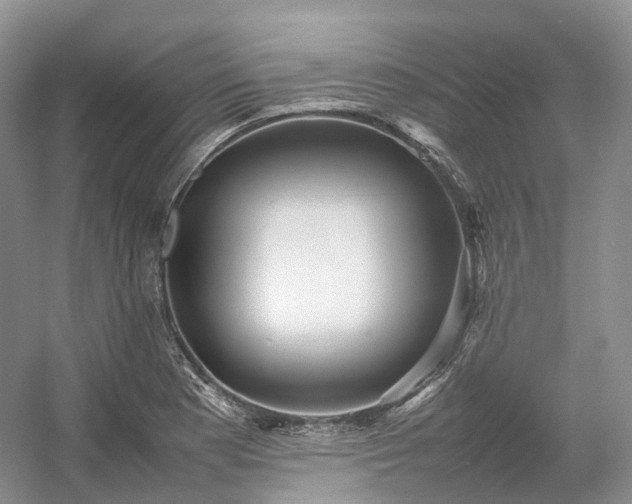 X0000054371177200508051547