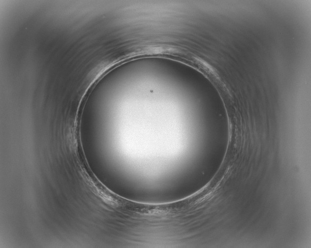 X0000054371178200508051547