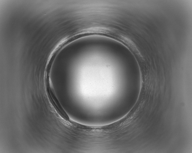 X0000054371180200508051547