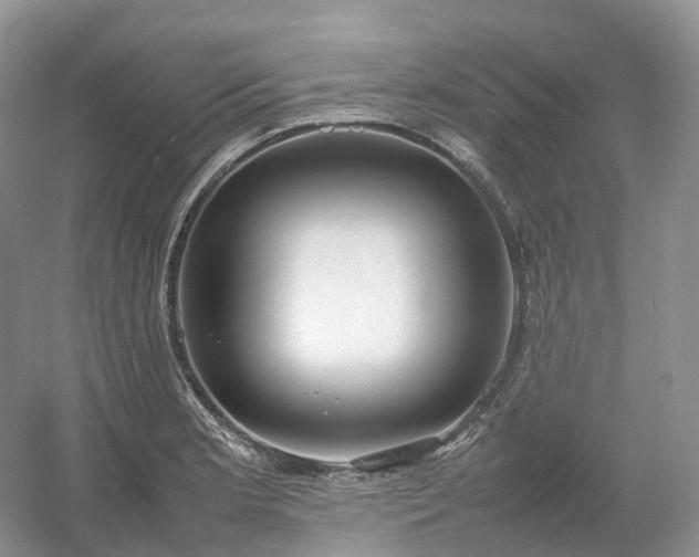 X0000054371181200508051547