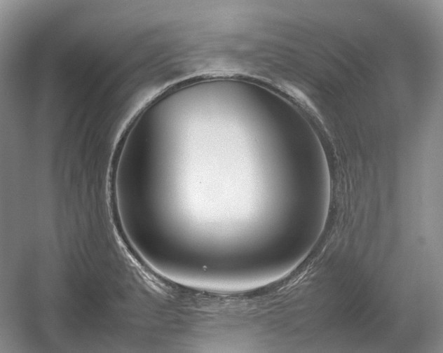 X0000054371183200508051547