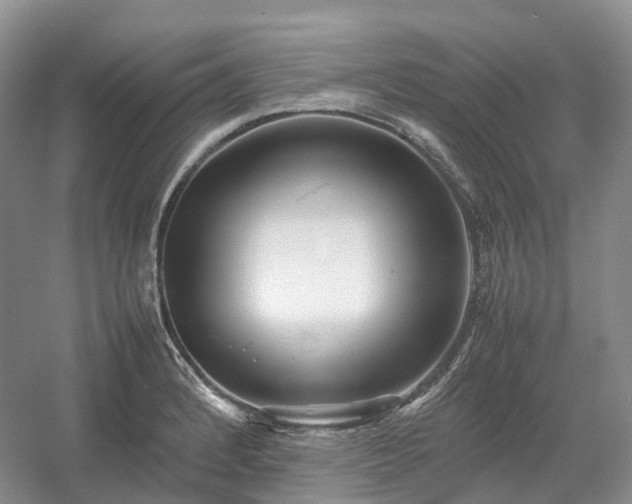 X0000054371184200508051547