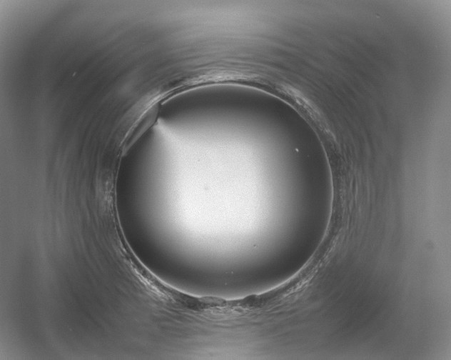 X0000054371185200508051547