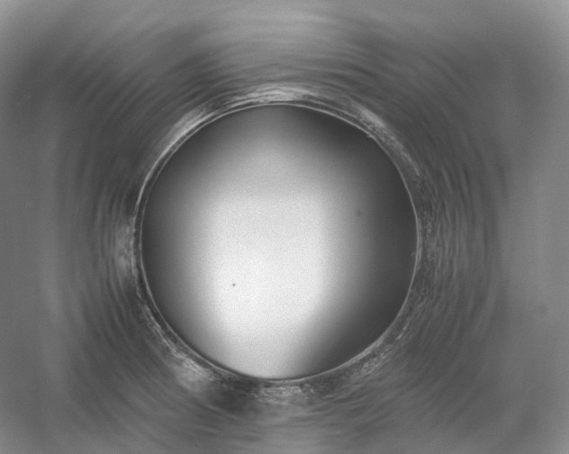 X0000054371186200508051547