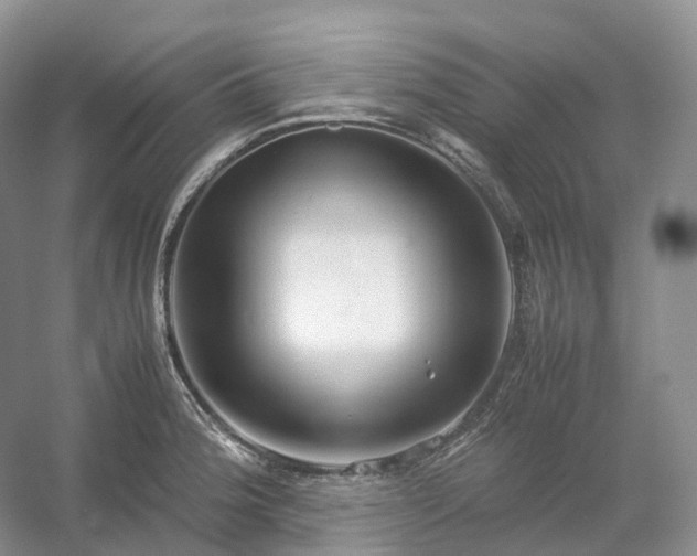 X0000054371188200508051547