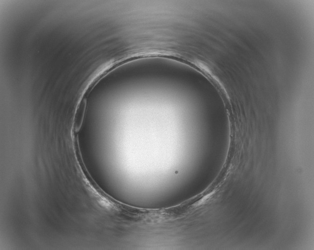 X0000054371189200508051547